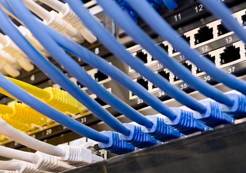 Ethernet Cable Solutions for the Agriculture & Smart Farming Industry